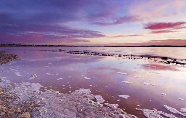 Nueva construcción  - Bungalows - Torrevieja