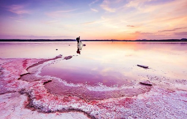 Nueva construcción  - Bungalows - Torrevieja